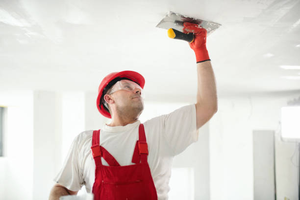 Professional Painting & Drywall Services in West Hempstead, NY